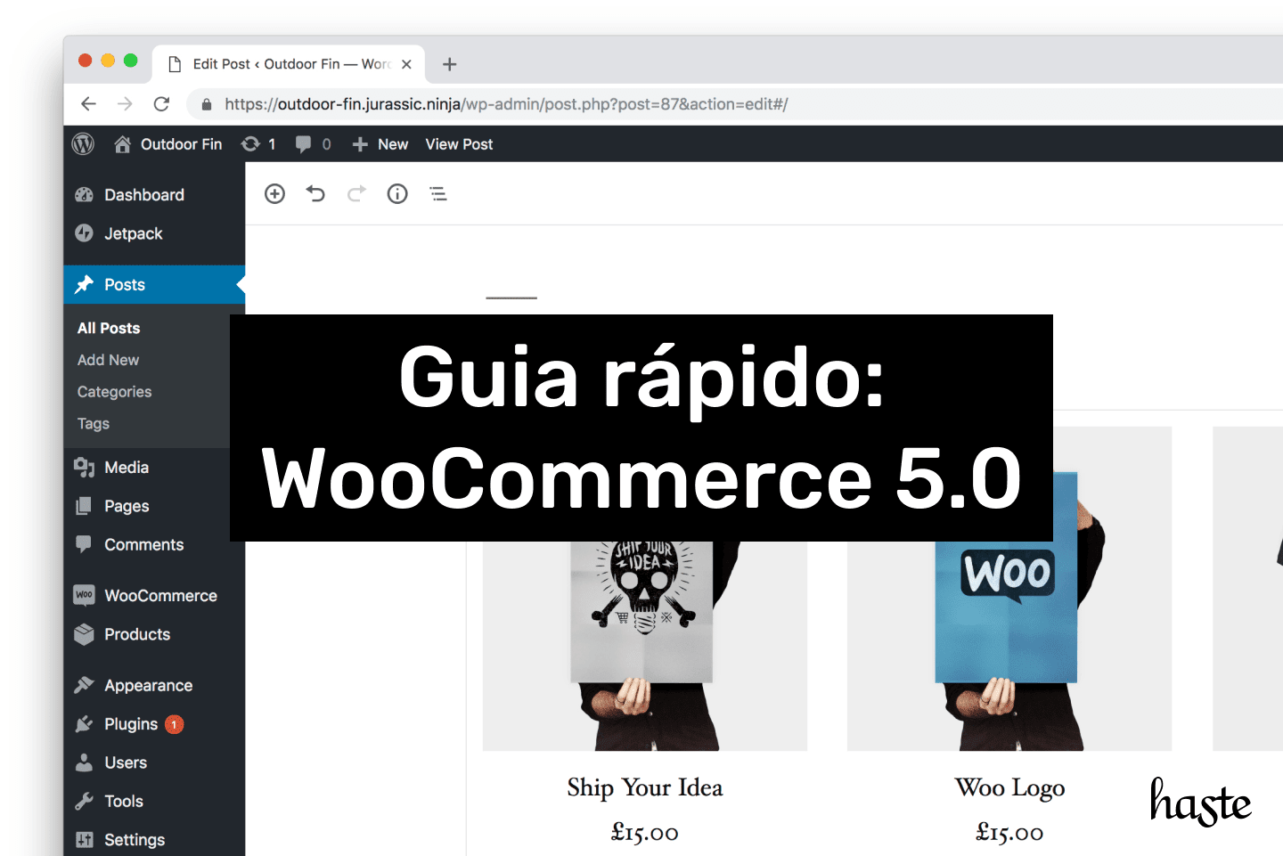 Guia rápido: WooCommerce 5.0. Imagem ilustrativa.